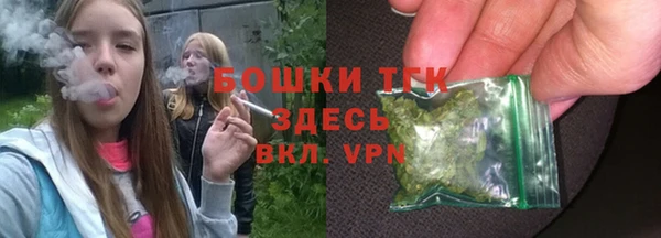 шишки Баксан