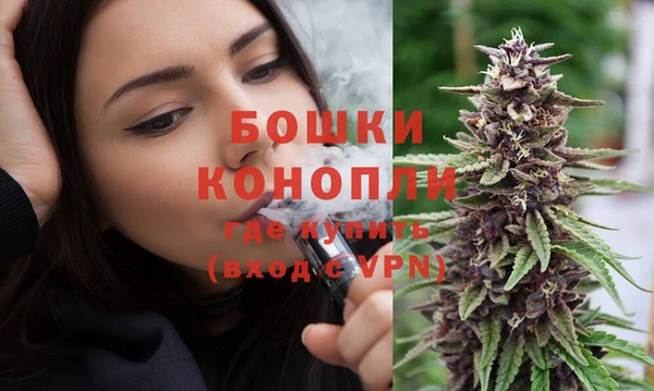 шишки Баксан