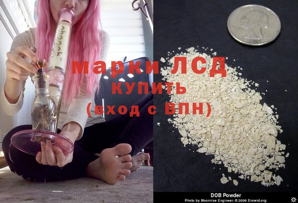 шишки Баксан