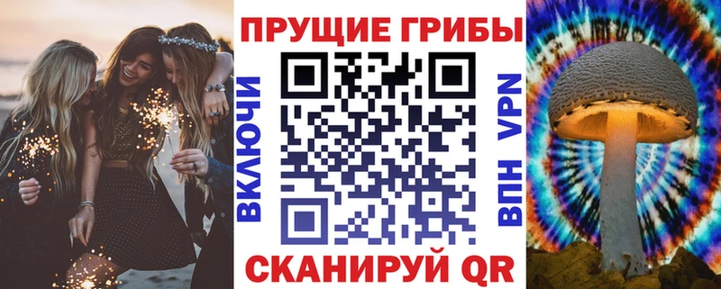 купить наркоту  Давлеканово  Галлюциногенные грибы мухоморы 